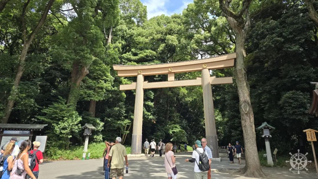 Tokyo part II: Meiji Temple, Shibuya and Kabukicho