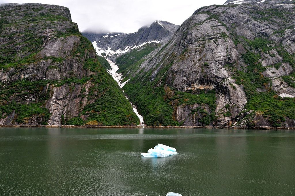 Tracy Arm and Endicott Arm: Ice floating between the granite walls of Tracy Arm