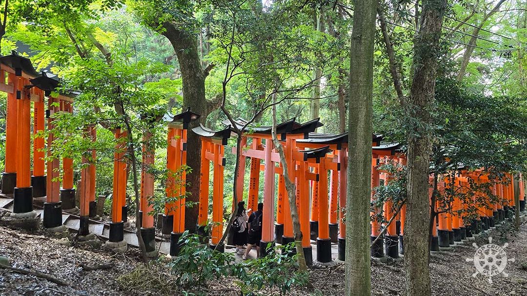 Kyoto – Fushimi Inari-Taisha and Geisha District