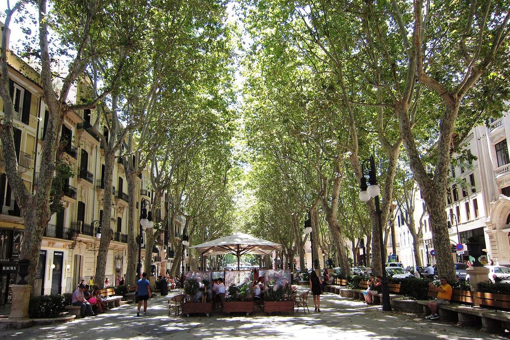 Palma de Mallorca: Passeig des Born